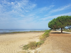 Photo de Suzette Beach zone des équipements