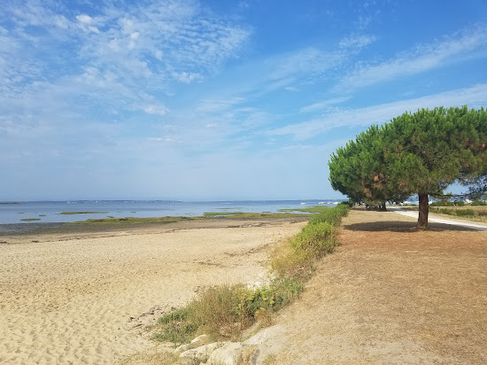 Suzette Beach