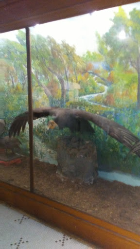 Museum «Elgin Public Museum», reviews and photos, 225 Grand Blvd, Elgin, IL 60120, USA