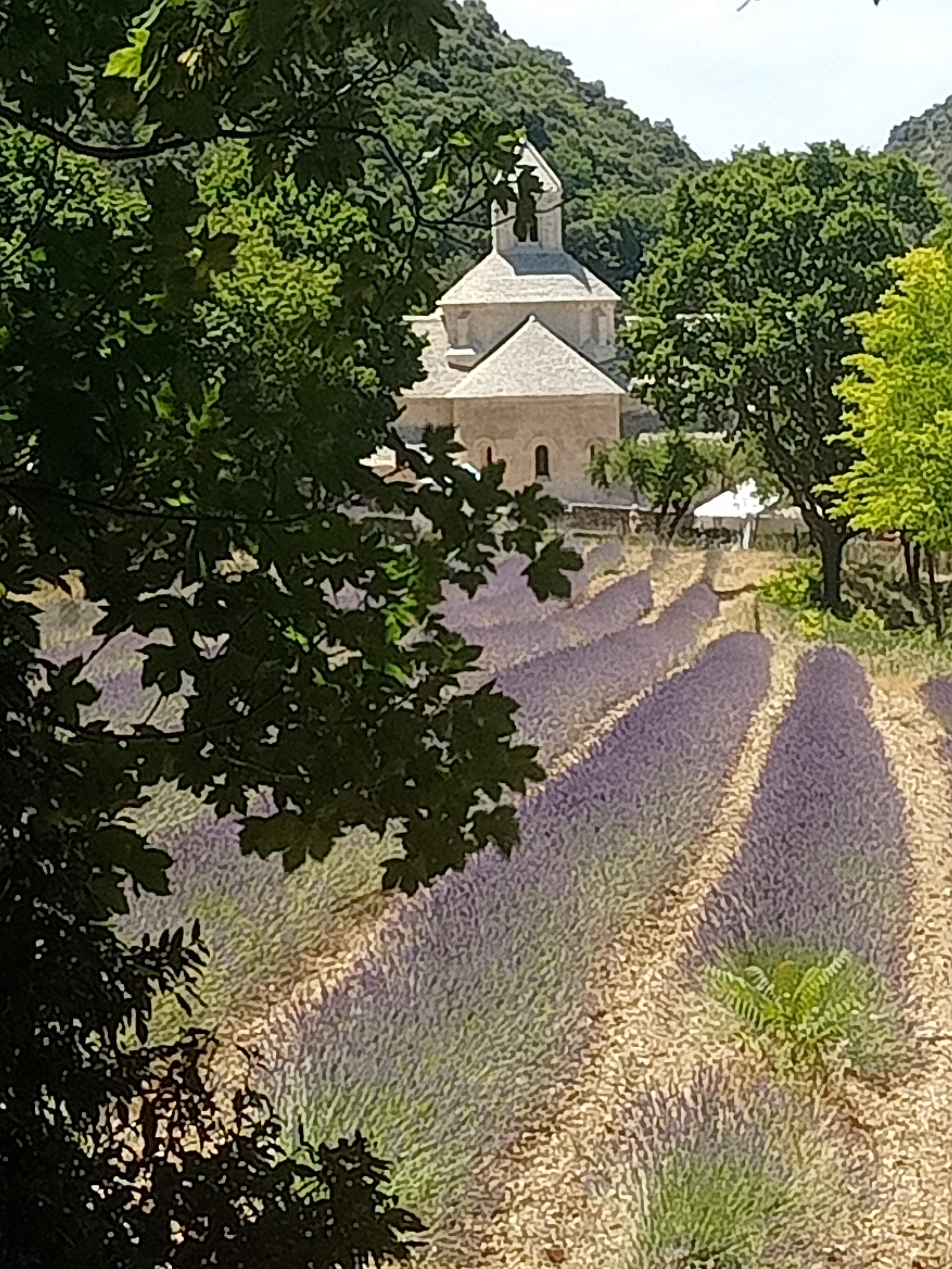 Photo n° 3 de l'avis de Veronique.o fait le 22/07/2022 à 11:34