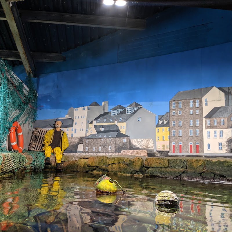Galway Atlantaquaria, National Aquarium of Ireland