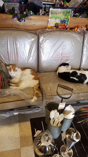 Pet Supply Store «Rosedale Mills», reviews and photos, 101 NJ-31, Pennington, NJ 08534, USA