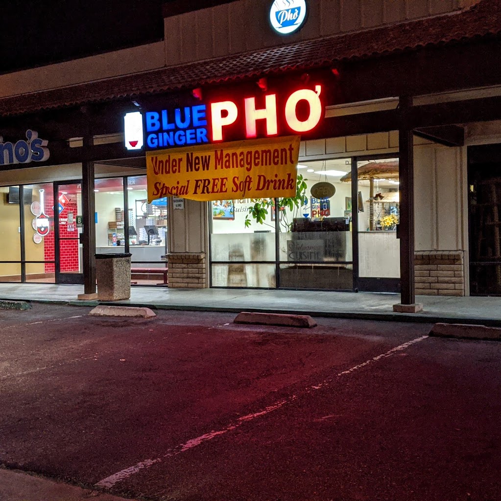 Blue Ginger Pho 93561