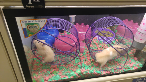 Pet Supply Store «PetSmart», reviews and photos, 144 Retail Commons Pkwy, Martinsburg, WV 25403, USA