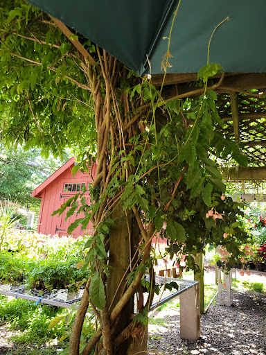 Farm «B & B Flower Farm», reviews and photos, 668 Jones Hill Rd, West Haven, CT 06516, USA
