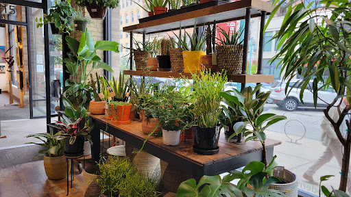 General Store «MOD GEN - A Modern General Store», reviews and photos, 211 N Broadway, Milwaukee, WI 53202, USA