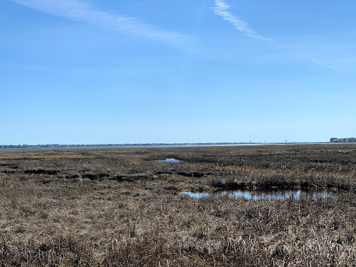 Nature Preserve «Edwin B. Forsythe National Wildlife Refuge- deCamp Wildlife Trail», reviews and photos, 365 Mantoloking Rd, Brick, NJ 08723, USA