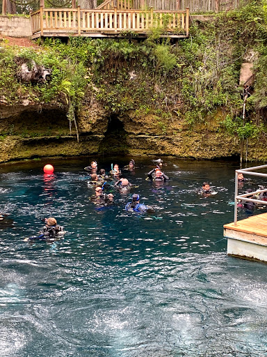 Dive Shop «The Dive Shop On McEver», reviews and photos, 3560 McEver Rd, Gainesville, GA 30504, USA