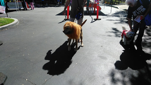 East Lake Village Community Association image