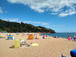 Photo de Blackpool Sands avec baie spacieuse