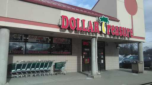 Dollar Treasure, 965 E Auburn Rd, Rochester Hills, MI 48307, USA, 