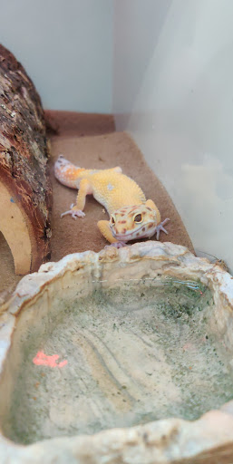 Pet Supply Store «Pet Supplies Plus», reviews and photos, 6199 GA-92 Suite 160, Acworth, GA 30102, USA