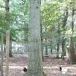 Photo n° 44 de l'avis de Sandrine.m fait le 29/08/2020 à 09:44 pour Parc animalier de Janvry à Janvry