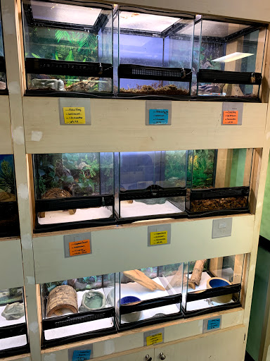 Scales Exotic Pets of Stockbridge