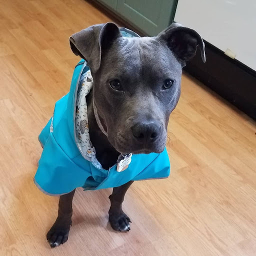 448 Larkfield Center, Santa Rosa, CA 95403, USA