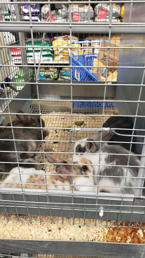 Animal Feed Store «IFA Country Stores», reviews and photos, 1071 Pioneer Rd, Draper, UT 84020, USA