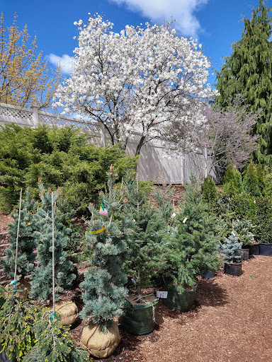 Greenhouse «Wentworth Greenhouses», reviews and photos, 141 Rollins Rd, Rollinsford, NH 03869, USA