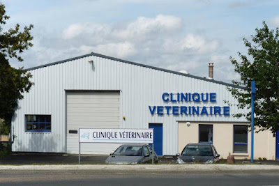 Clinique vétérinaire du Bocage - Tinchebray à Tinchebray-Bocage