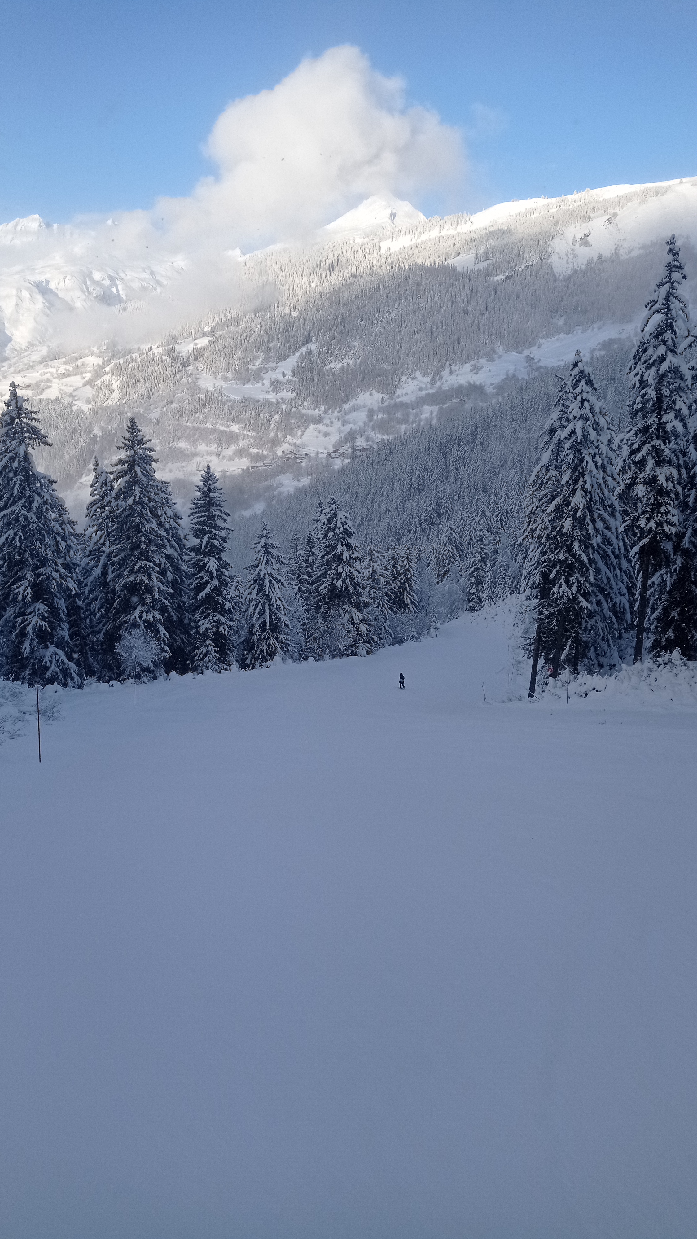 Photo n° 3 de l'avis de Emeric.i fait le 19/01/2023 à 15:44