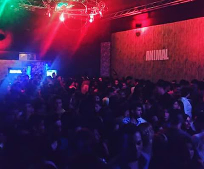 Animal Night Club