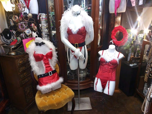 Lingerie Store «My Spicy Treasures», reviews and photos, 1010 Dallas Dr, Denton, TX 76205, USA