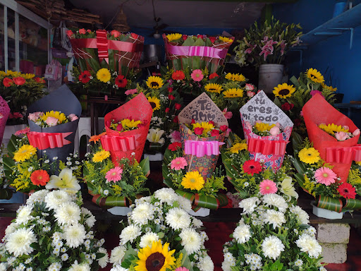 Florería Ángeles