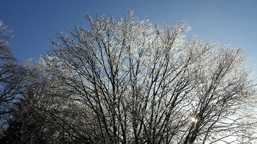 Horse Riding School «Horseng Farm LLC», reviews and photos, 6475 Warden Rd, New Tripoli, PA 18066, USA