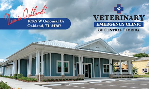 Veterinary Emergency Clinic of Central Florida | Oakland, FL image