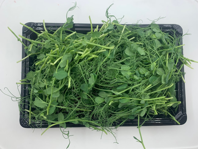Comments and reviews of Brown Acres Microgreens