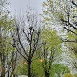 Photo n°5 de l'avis de Giuseppe.i fait le 13/04/2023 à 14:39 sur le  Ristorante Nuovo Ranch à Ponte di Piave