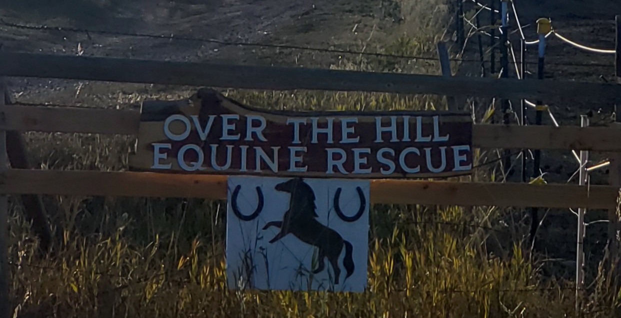 Over the Hill Equine Rescue