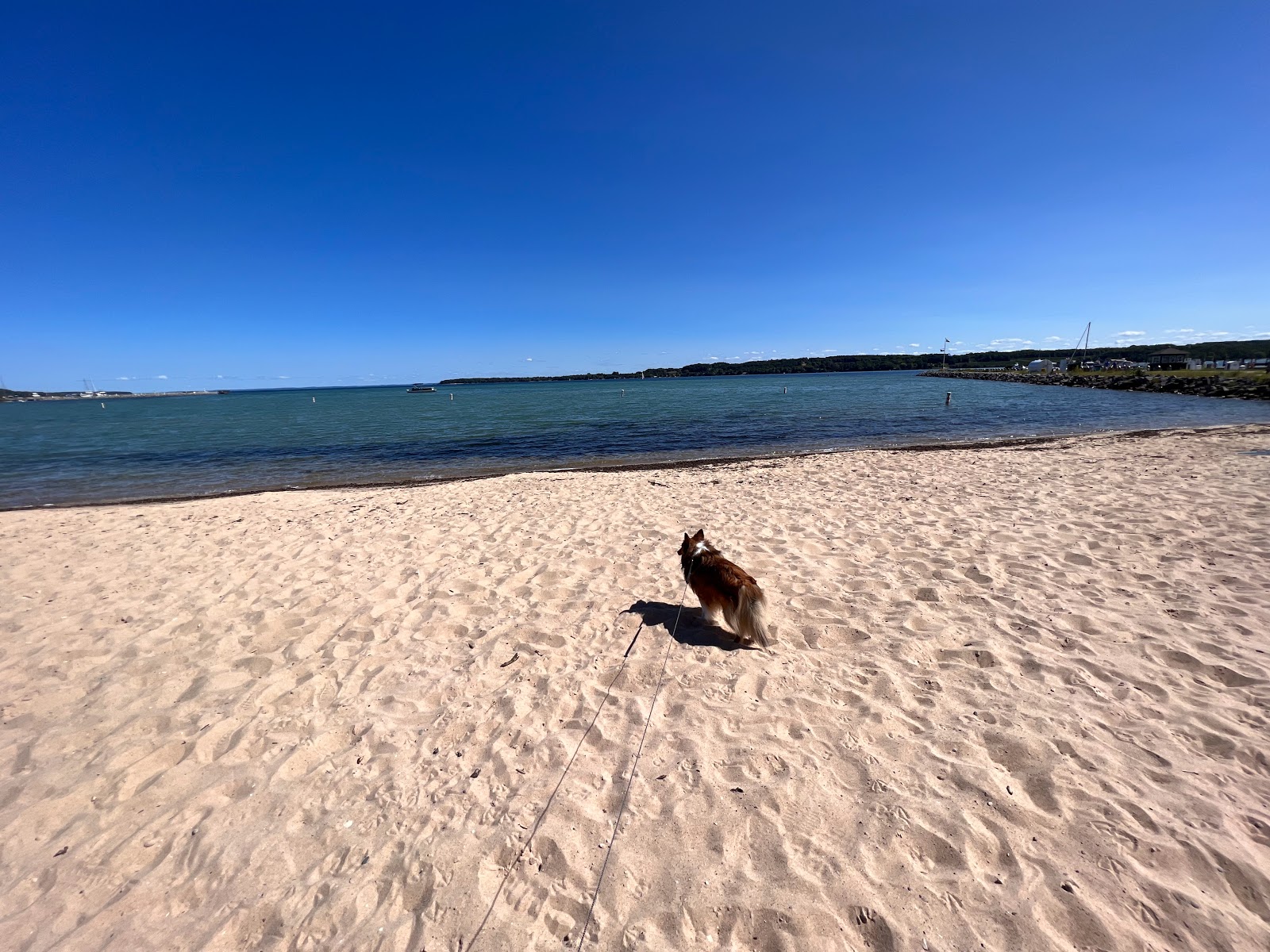 Fotografie cu Suttons Bay Beach - locul popular printre cunoscătorii de relaxare