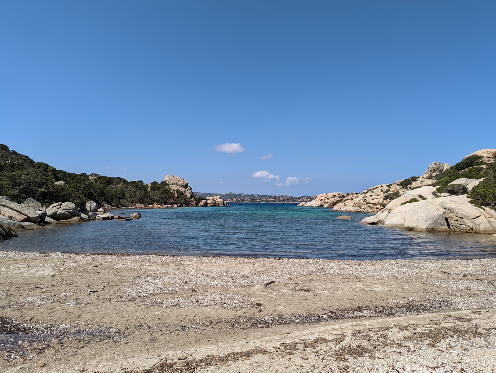 Cala Caprarese Beach'in fotoğrafı vahşi alan