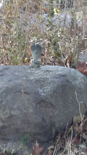 Park «Hudson Park», reviews and photos, 2919 Lakeland Ave, Madison, WI 53704, USA