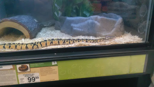 Pet Supply Store «Petco Animal Supplies», reviews and photos, 1201 E Washington Ave, Union Gap, WA 98903, USA