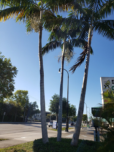 Car Wash «Busy Bee Car Wash (Miami Shores)», reviews and photos, 10550 Biscayne Blvd, Miami, FL 33138, USA