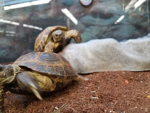 Pet Supply Store «Petco Animal Supplies», reviews and photos, 10 Sylvan St, Peabody, MA 01960, USA