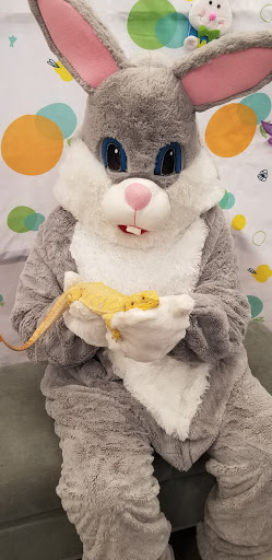 Pet Store «PetSmart», reviews and photos, 17150 Ventura Blvd, Encino, CA 91316, USA