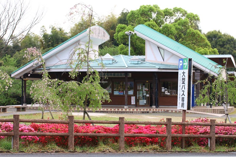 一本松公園