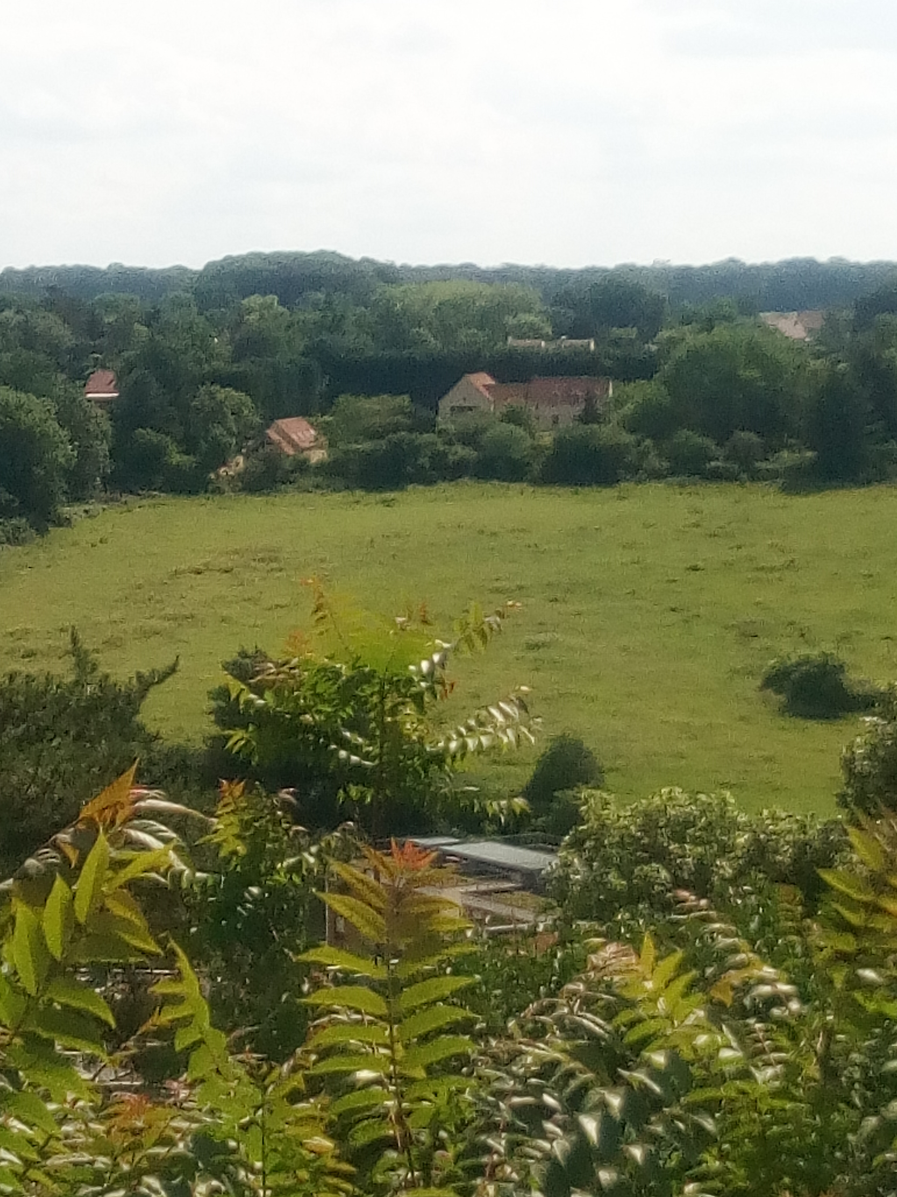 Photo n° 4 de l'avis de piacentino.a fait le 03/06/2018 à 18:27