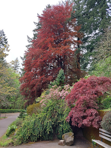 Park «Macleay Park», reviews and photos, NW 29th Ave & Upshur St, Portland, OR 97210, USA