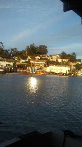 Surf Shop «101 Surf Sports San Rafael», reviews and photos, 115 3rd St, San Rafael, CA 94901, USA