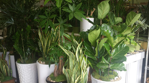 Florist «Garden Grove Florist», reviews and photos, 9710 Garden Grove Blvd # C, Garden Grove, CA 92844, USA