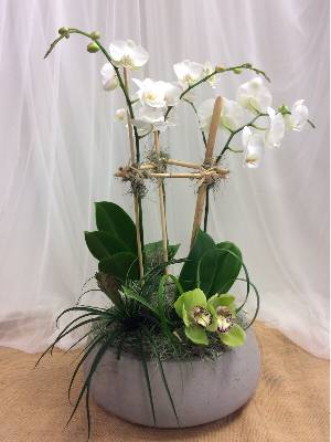 Florist «Flowermart Florist», reviews and photos, 185 E Indiantown Rd #221, Jupiter, FL 33477, USA