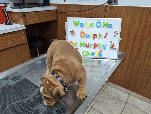 15511 Hall Rd, Bowie, MD 20721, USA