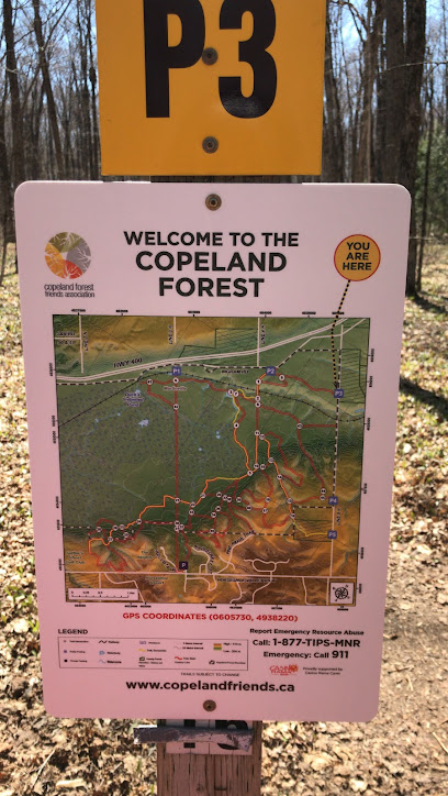 Copeland Forest Parking - P3