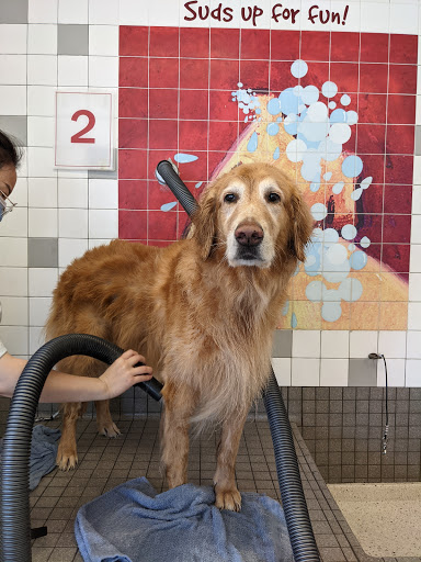 Pet Supply Store «Pet Food Express», reviews and photos, 5148 Stevens Creek Blvd, San Jose, CA 95129, USA