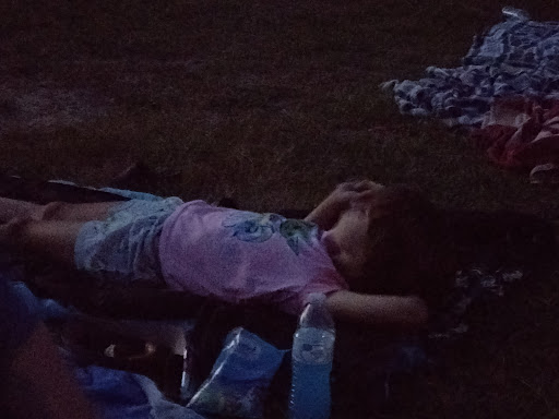 Drive-in Movie Theater «Stone Drive-In Theatre», reviews and photos, 808 Theatre Ln, Mountain View, AR 72560, USA