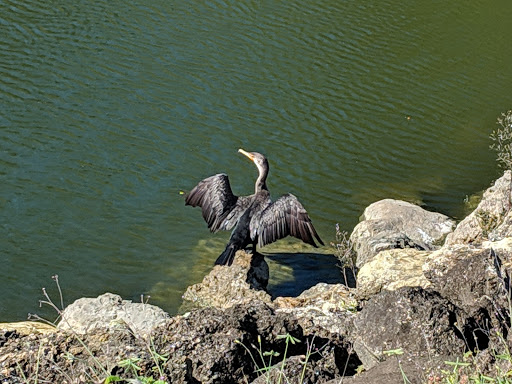 Golf Club «Stoneybrook Golf Club», reviews and photos, 21251 Stoneybrook Golf Blvd, Estero, FL 33928, USA