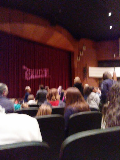 Performing Arts Theater «South Milwaukee Performing Arts Center», reviews and photos, 901 15th Ave, South Milwaukee, WI 53172, USA